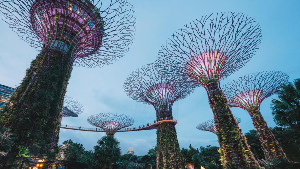  gardens-by-the-bay-image