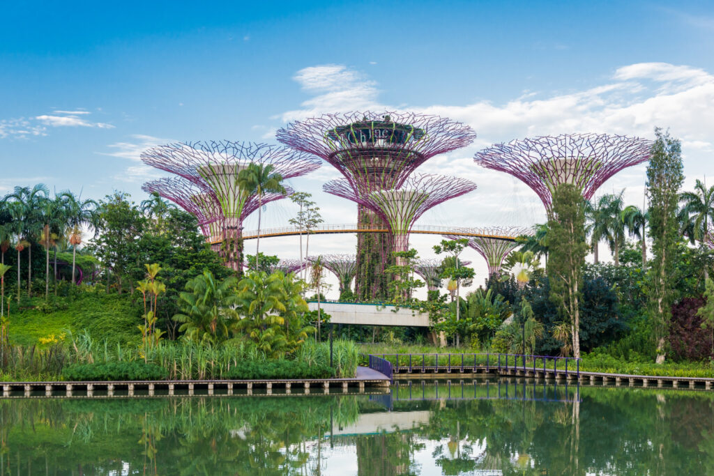 gardens-by-the-bay