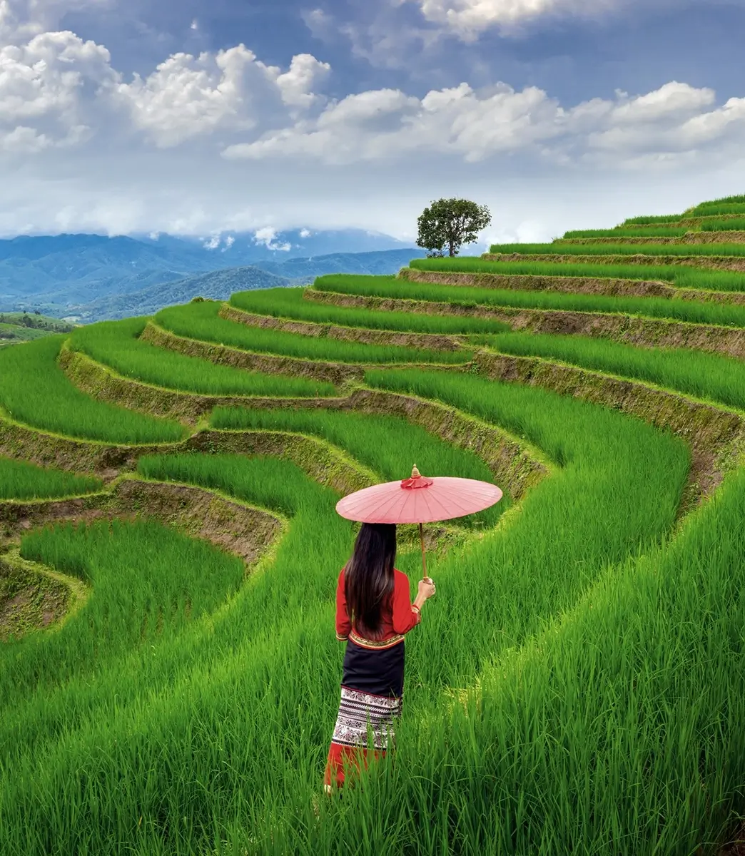 A woman in traditional attire, holding a red umbrella, admires the lush, terraced rice paddies of Bali,under a blue sky.