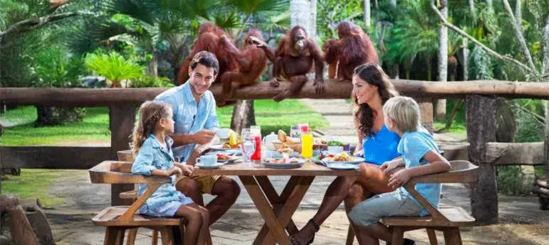 Family enjoying a meal at the zoo, with orangutans in the background, highlighting a Bali tour package for family fun