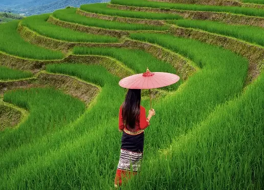 A woman in traditional attire, holding a red umbrella, admires the lush, terraced rice paddies of Bali,under a blue sky.
