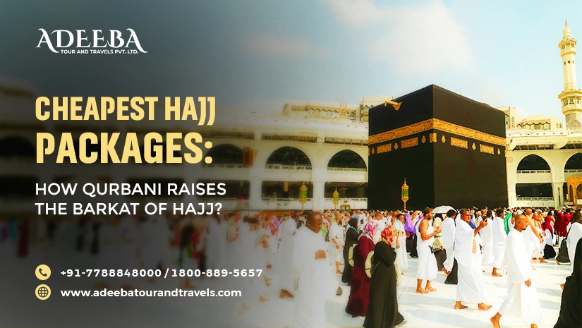 Cheapest Hajj Packages How Qurbani Raises The Barkat Of Hajj