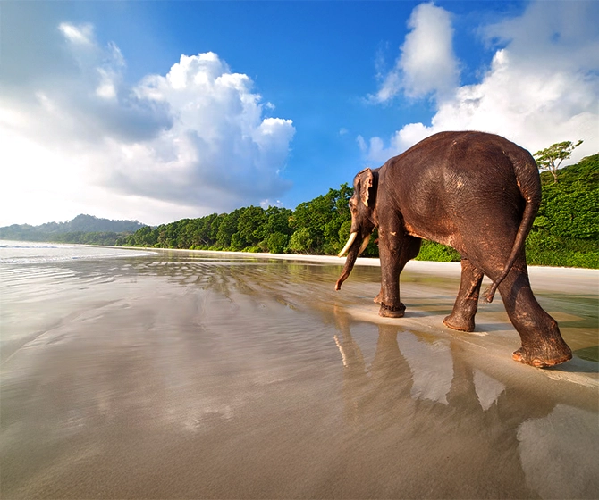 Andaman Elephant Beach
