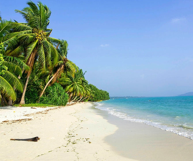 Andaman Havelock Island