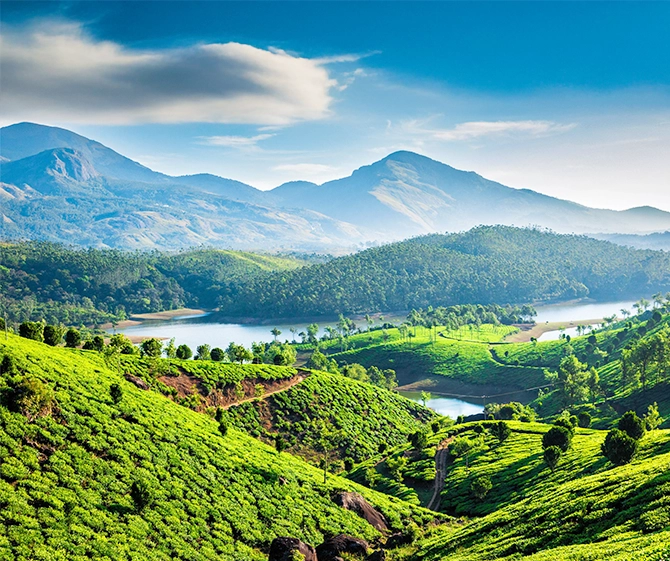 Coorg Package Munnar
