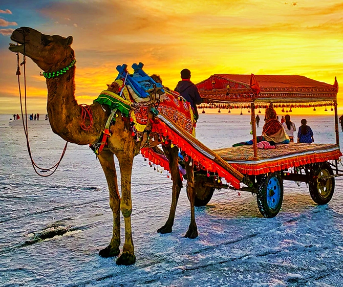 Gujrat The Rann Of Kutch