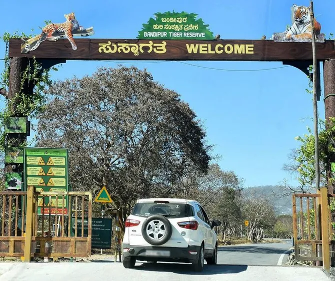 Karnataka Package Bandipur National Park