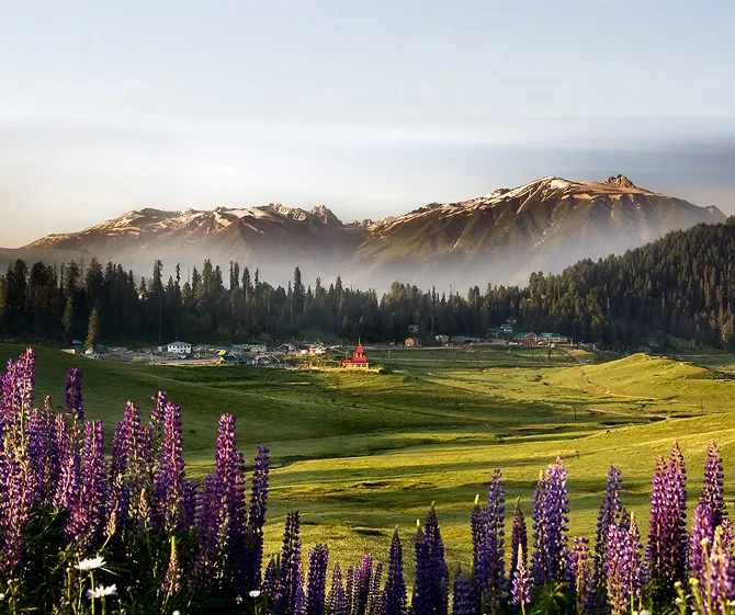Kashmir Package Gulmarg