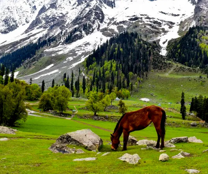 Kashmir Package Vale Of Kashmir
