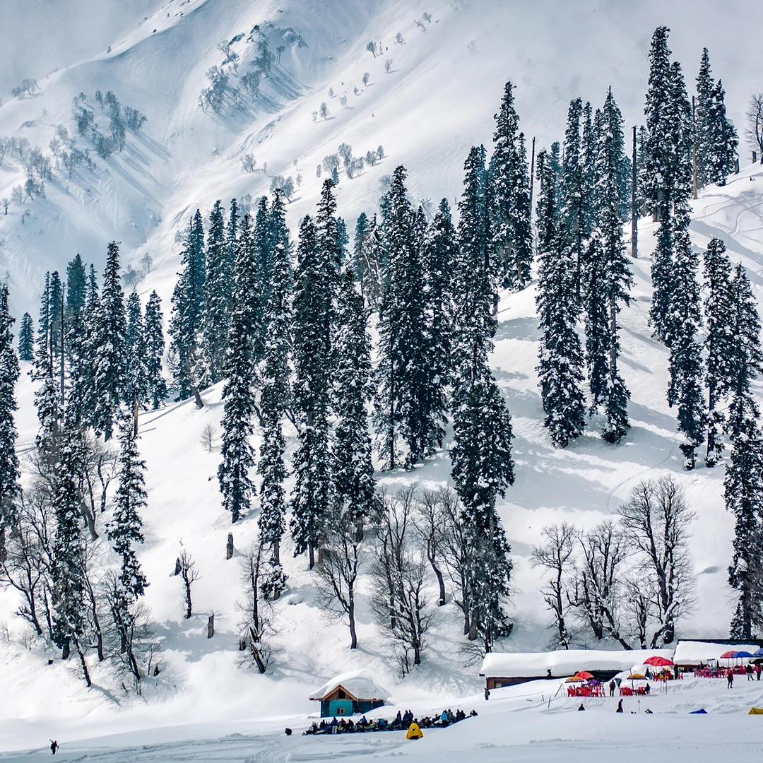 kashmir img