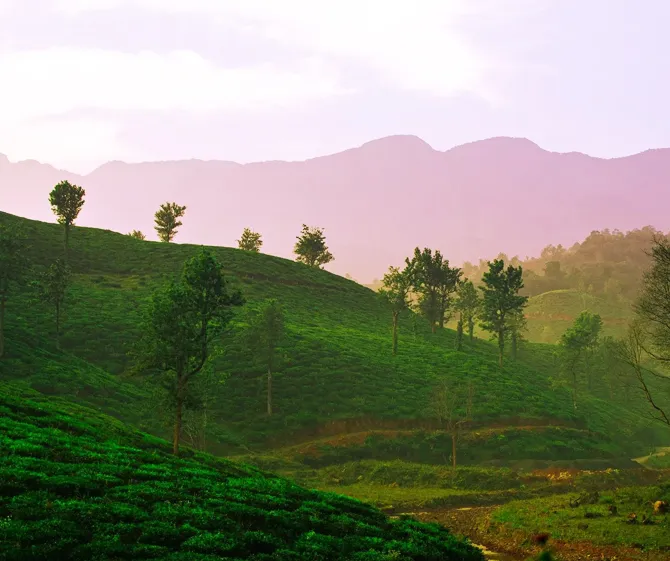 Kerala Package Western Ghats
