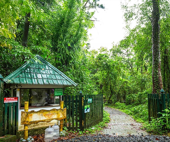 Kumarakom Vembanad Bird Sanctuary