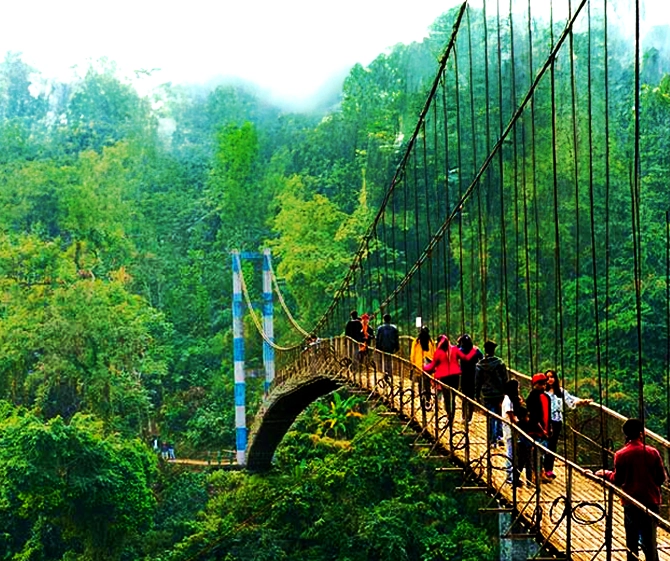 Meghalaya Double Decker Living Root Bridge