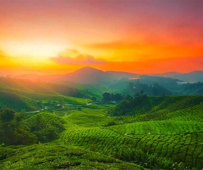 Munnar Idukk