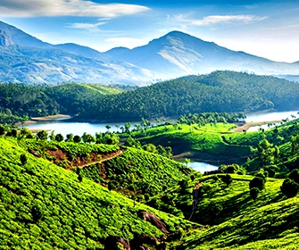 munnar img