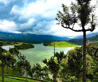 munnar img