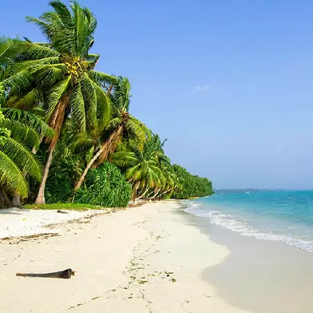 Andaman Havelock Island