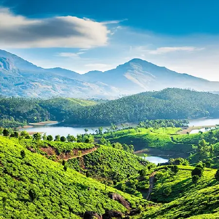 Coorg Package Munnar