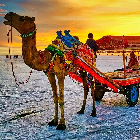 Gujrat The Rann Of Kutch