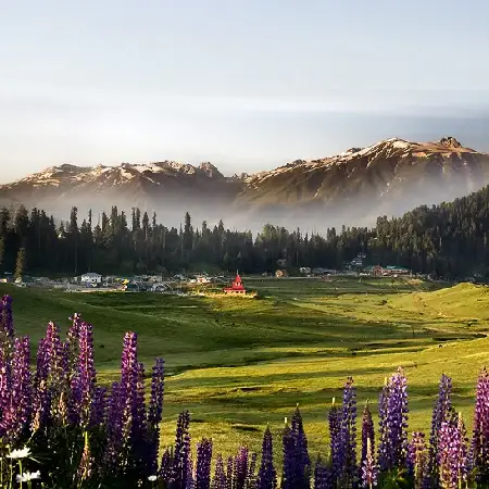 Kashmir Package Gulmarg