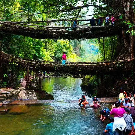 Meghalaya Double Decker Living Root Bridge