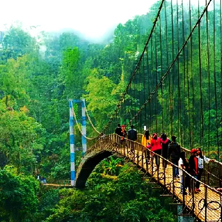 Meghalaya Double Decker Living Root Bridge