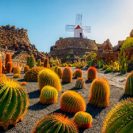 Statue Of Unity Package Statue Of Unity