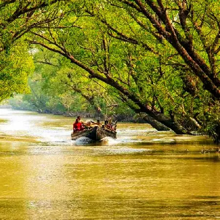 Sundarban Netidhopani