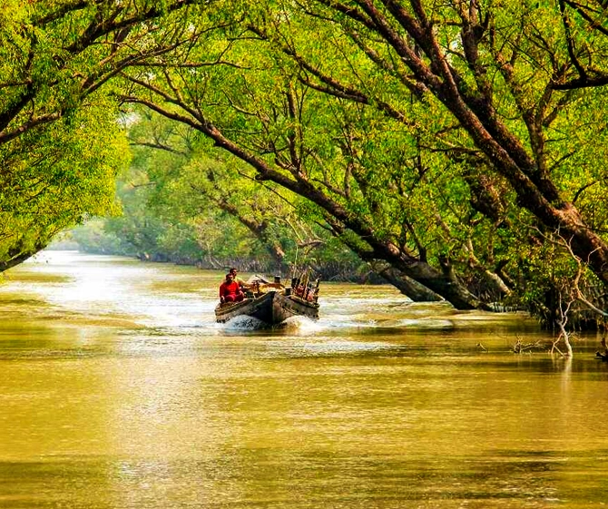Sunderban Netidhopani