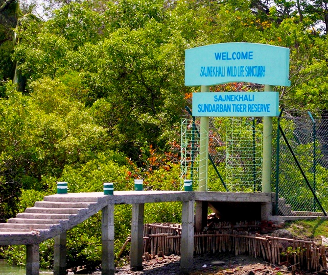 Sunderban Sajnekhali Wildlife Sanctuary