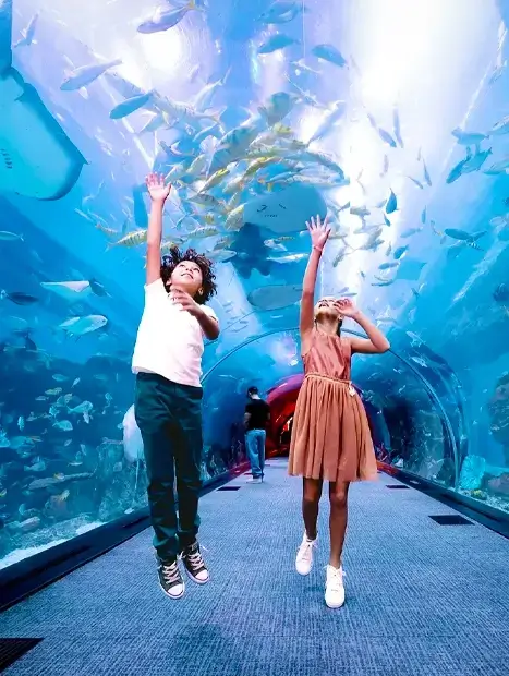 Children jumping with joy inside the transparent glass tunnel of the Dubai Aquarium.
