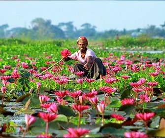 bangladesh slider img