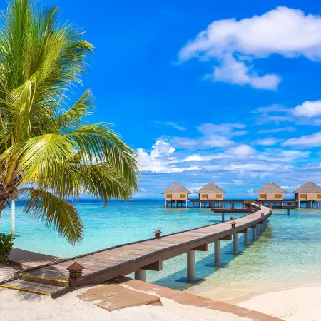 Scenic beach view with a wooden pier, perfect for international tour packages exploring coastal destinations.