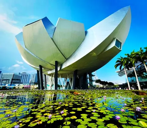 The lotus-inspired ArtScience Museum at Marina Bay, a core landmark included in our Singapore holiday packages for its stunning architecture and lily pond