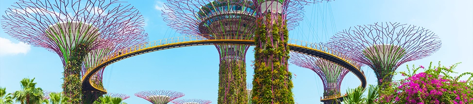 Panoramic view of the Supertree Grove and OCBC Skyway at Gardens by the Bay, a centerpiece of our Singapore holiday packages.