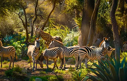 Happy family smiling at an animal park; fun-filled family holiday in thailand.