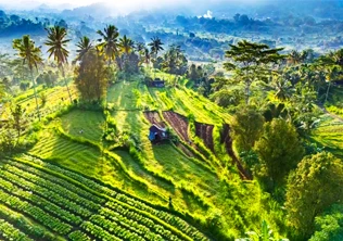 ubud bali honeymoon package